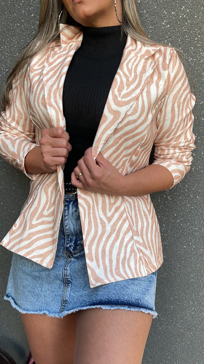 Blazer Zara