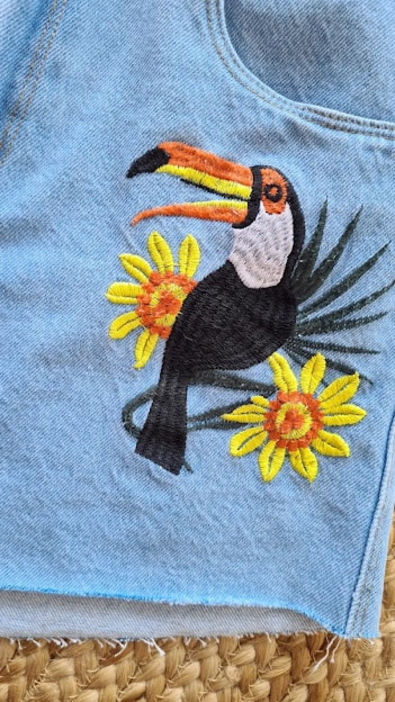 Shorts 2025 jeans bordado