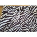 Short Zebra